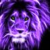 Tricia Bauer - Facebook
