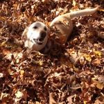 Trish Bauer - @pbbauer74 - Instagram