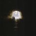 Trisha Bauer - Facebook