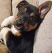 Trisha Bauer - Facebook