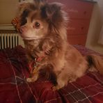 Tricia Beaudoin - Facebook