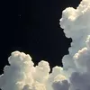 thabernstein - @thabernstein - TikTok