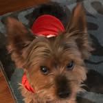 Trisha Birk - @tabtastic72 - Instagram
