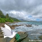 Trish Bistoe - Facebook