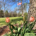 Trisha Blackburn - @trishablackburn51 - Instagram