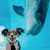 trishablake2 - @trishablake2 - TikTok