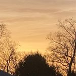 Trish Blankenship - @trishblankenship_ - Instagram