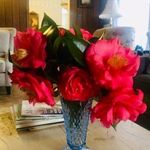 Trish Smith-blankenship - @trishsmithblankenship - Instagram