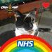 Twisha Bloor - Facebook