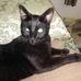 Tricia Blount - Facebook