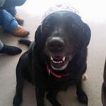 Trish Bolton - @trish.bolton.509 - Instagram