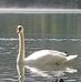 Trisha Bower - Facebook