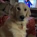 Tricia Bradley - Facebook