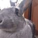 Trisha Bragg - Facebook