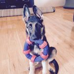 Trisha Bragg - @t_sportybragg - Instagram