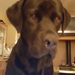 Patricia Brennan - @trish.brennan.52 - Instagram