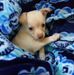 Trish Brock - Facebook