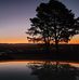 Trisha Buchanan - Facebook