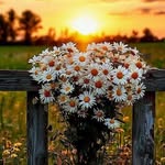 Trisha Green Buchanan - @trishabuchanan723 - Instagram