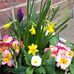 Trisha Buck - Facebook