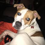 Trisha Burns - Facebook