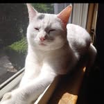 Trisha Burns - @wellhungandsnowwhitetan83 - Instagram