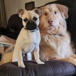 Trisha Carpenter - @rtcarpenter06 - Instagram