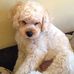 Trisha Carr - Facebook
