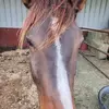 Trisha Casey Sellers - @trisha.casey.sell - TikTok