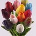 Trisha Charles - Facebook