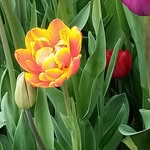 Trish Clifton - @trishclifton7 - Instagram