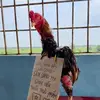 Trisha Coleman - @trisha.coleman1 - TikTok