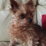 Trisha Collier - @colliertrisha - Instagram