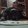 trishacox77 - @pers5794 - TikTok