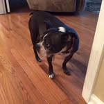 Trish Cummings - @cummings3274 - Instagram