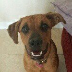 Trisha - @trishacutler52 - Instagram