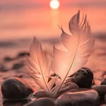 trisha dash - @trishadash46 - Instagram