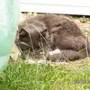 Trisha Davies - @trisha.davies - TikTok