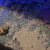 Trisha Day - @trisha.day7 - TikTok