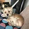 Trish Delaney - @trishdelaney1 - TikTok