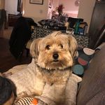 Trish Delaney - @trishdelaney - Instagram