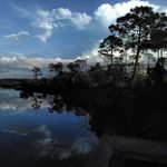 Trisha Downey - @downeytrisha - Instagram