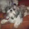 trishadowney4 - @trishadowney4 - TikTok