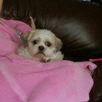 Trisha Doyle 07 - @doyletrisha - Instagram