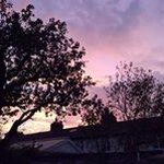 Trisha Doyle - @trisha.doy - Instagram