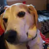 user5544044777068 - @trishadrewry0 - TikTok