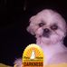 Trisha Earls - Facebook