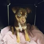 Trisha Earls - @funn.ymom - Instagram