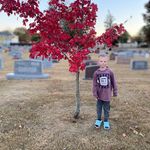 Trisha Edwards - @trishaedwards435 - Instagram