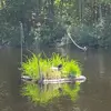 Trish Erickson - @trish.erickson - TikTok